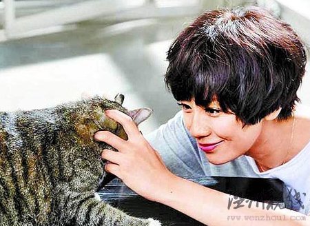 賈靜雯王靜瑩未婚先孕進(jìn)豪門 終是少奶夢一場