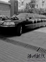 溫州最“牛”迎親車隊(duì)總身價(jià)達(dá)兩千萬多元