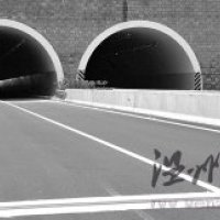 諸永高速車流量不到甬臺溫二成 日均通車不足5000輛