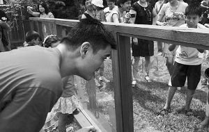 奶爸姚明自曝換尿布很拿手 下賽季依然效力火箭