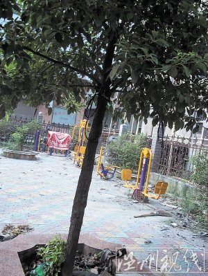 事發(fā)現(xiàn)場一棵樹上系著小皮繩