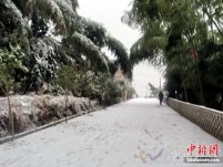 溫州天氣受到新的寒潮影響 低溫雨雪冰凍天氣再襲南