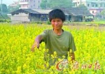 “菜賤傷農”菜農無奈 商務部緊急下令緩解“賣菜難