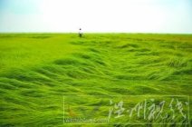 干旱天氣持續(xù) 未來一周仍無降水三峽水庫補(bǔ)水只能再