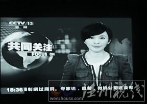 央視主播歐陽夏丹牛仔裝引關(guān)注 觀眾難以置信