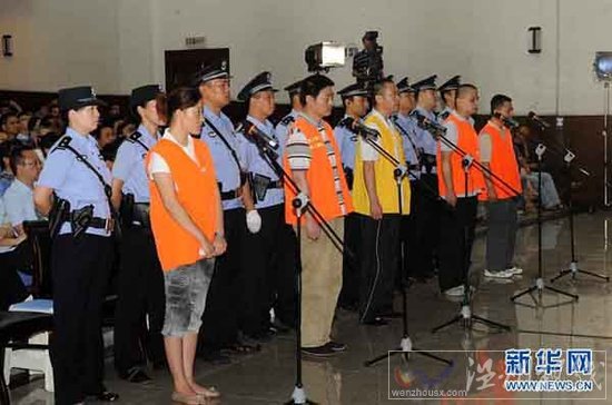 河南兩起“瘦肉精”案開庭 嫌犯承認產銷事實