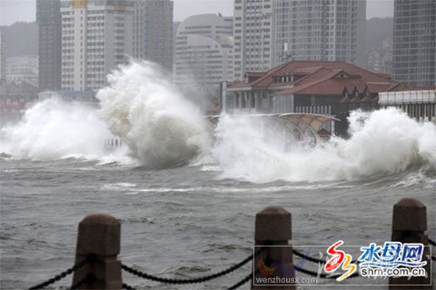 “梅花”有功也有過 煙臺水庫解渴部分玉米倒伏