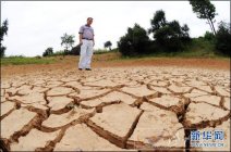 湖南重旱 600萬畝養殖水面遭創 損失魚苗達120億尾經