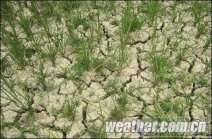 遵義干旱 持續高溫少雨旱情發展 100萬余人飲水困難