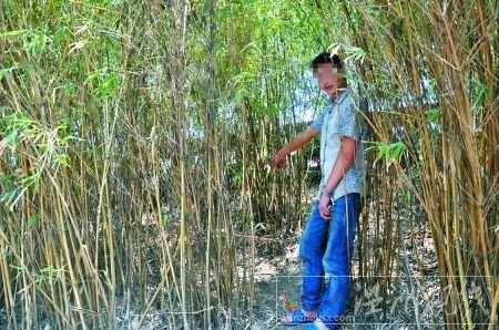 犯罪嫌疑人李某指認作案的小竹林