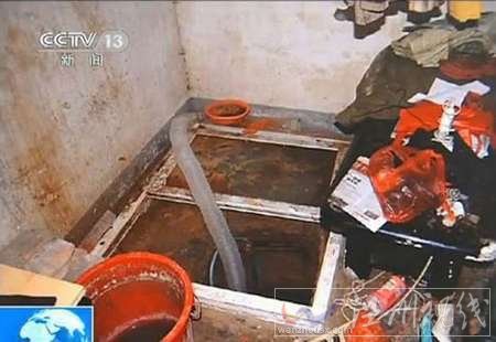 洛陽李浩地窖圖片