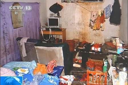 洛陽李浩地窖圖片