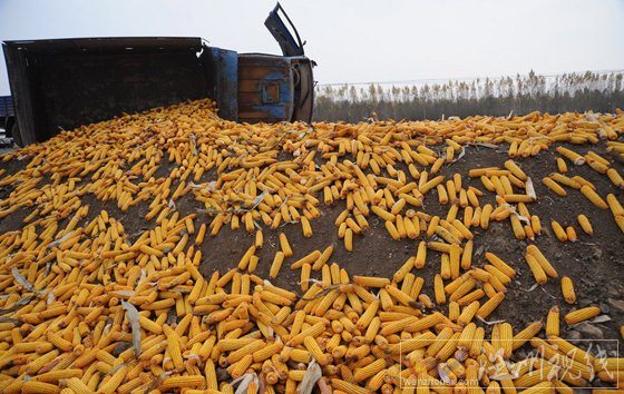 農用車迎面撞爛寶馬