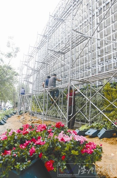 溫州巽山公園垂直綠化墻