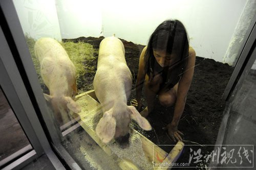 女行為藝術家玩另類:與豬裸睡