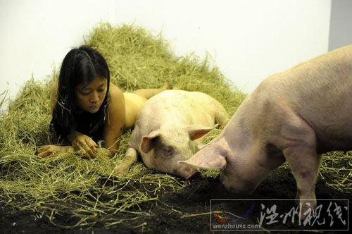 女行為藝術家玩另類:與豬裸睡