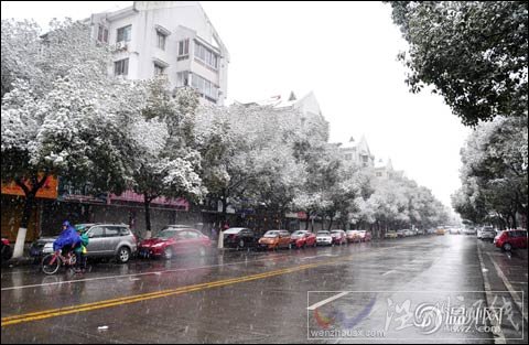 溫州下雪了