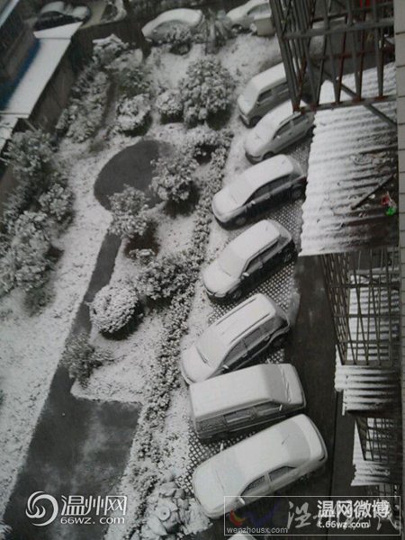 溫州今天下雪了