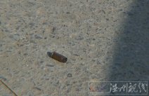 1月6日南京槍擊搶劫案 劫匪開槍打死取款人搶走20萬