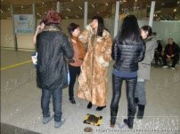 張咪逃加拿大 報案人機場攔截警方放行張咪偷逃加拿