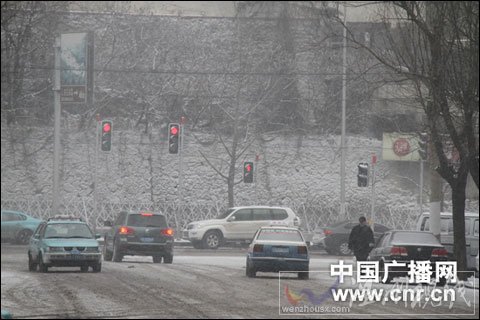 遼寧多地降雪 道路封閉飛機延誤