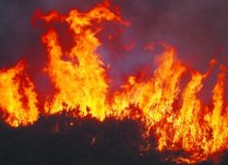 云南大火 金美兒冬天的一把火燒起云南玉溪森林大火