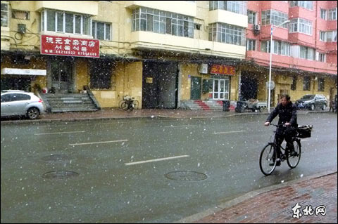 入春哈爾濱好大雪（組圖）
