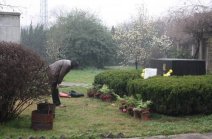 張武成老人清明節前祭拜趙望云大師 感動全國書畫界