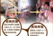 福建病死豬肉屠宰銷售窩點打掉 福建病死豬肉事件面
