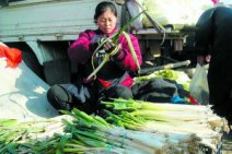 北京大蔥漲價10元買兩根 市民稱“天價大蔥”