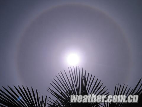河南舞陽現美麗日暈奇觀