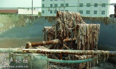 廢皮革提煉出的明膠