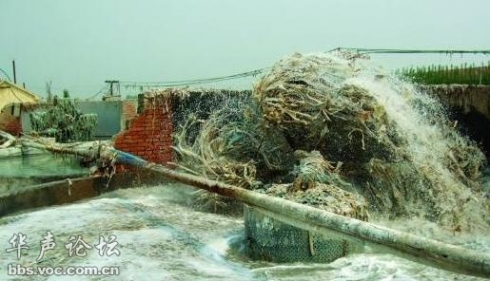 廢皮革提煉出的明膠