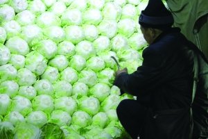 山東白菜噴甲醛