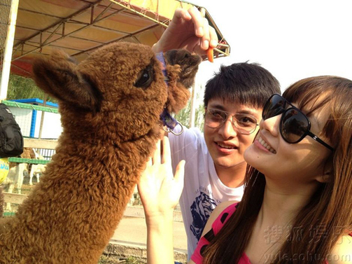 李小璐喂食草泥馬