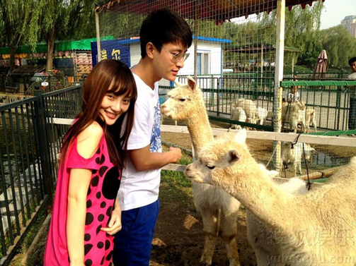 李小璐喂食草泥馬