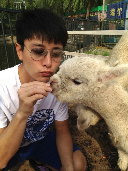 李小璐喂食草泥馬