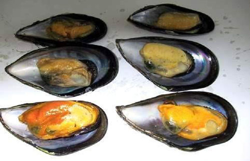 溫州烏螺中毒事件