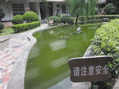 新橋一小出事了