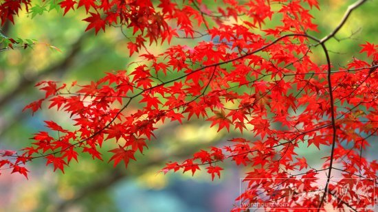 今年中秋節(jié)天氣