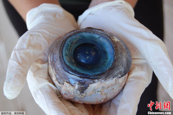 神秘藍色大眼睛 神秘藍色大眼睛