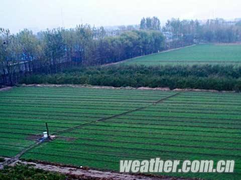河北保定天氣 今日有明顯降溫降雨天氣