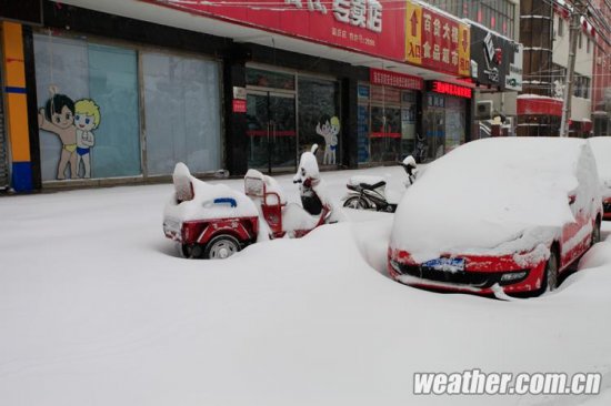 北京大雪 11月4日北京多地下大雪延慶佛爺頂降雪量最大51毫米