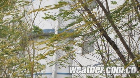 寧夏大風(fēng)來(lái)襲 氣象臺(tái)發(fā)布寒潮藍(lán)色預(yù)警