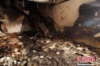 山西壽陽喜洋洋爆炸 山西壽陽縣喜洋洋火鍋店爆炸致