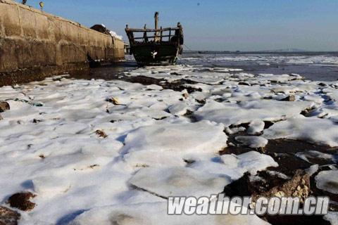 山東青島 膠州灣出現(xiàn)初生海冰
