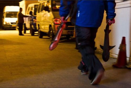 南京路鯊魚缸爆裂 南京路鯊魚缸爆裂