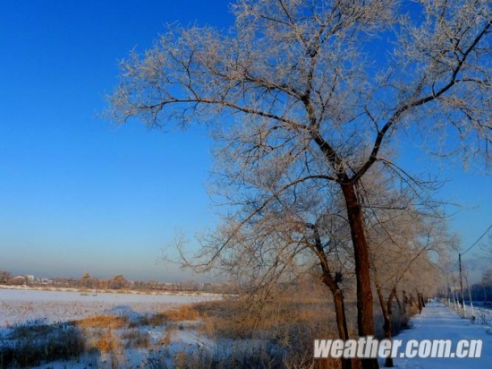 大慶霧凇美景