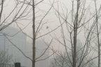 北京今天天氣預(yù)報(bào) 2013年1月10日晚北京有輕霧北部山