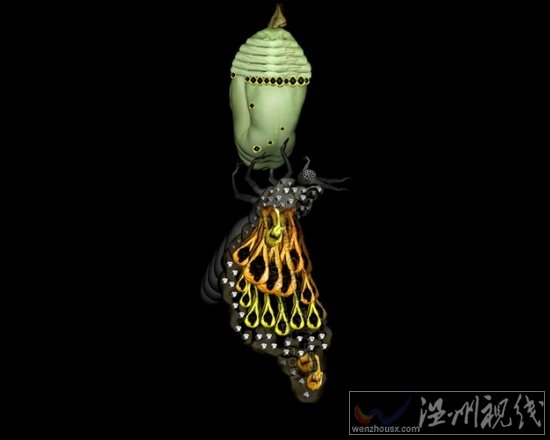 人體藝術攝影作品欣賞